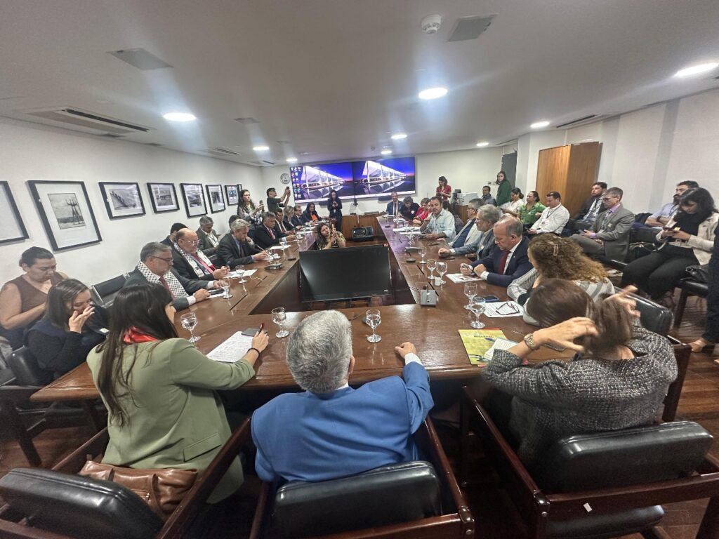 Audiência entre a Fepal, os deputados e o Assessor Celso Amorim, em Brasília (11/06/2025)